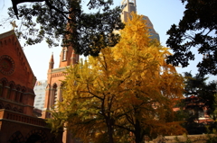 5Ｄ3_2012_11_27_8351s