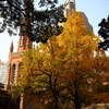 5Ｄ3_2012_11_27_8351s