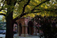 5Ｄ3_2012_11_27_8353s