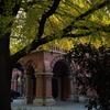 5Ｄ3_2012_11_27_8353s