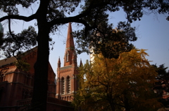5Ｄ3_2012_11_27_8354s