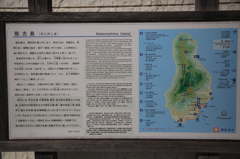 5D3_2859s