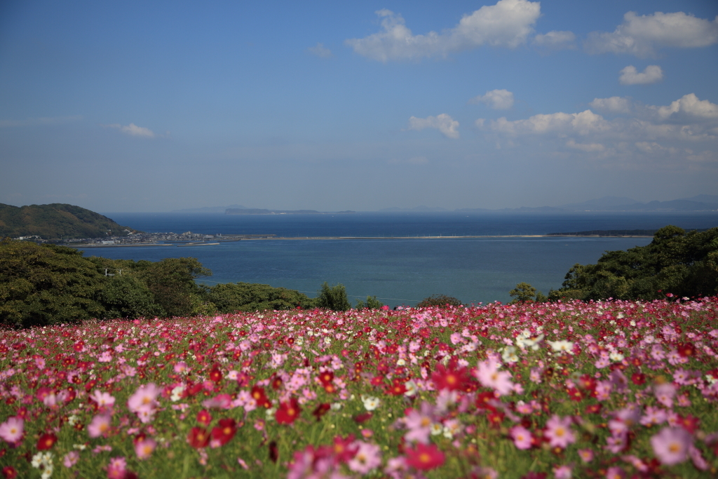 5D3_2928s