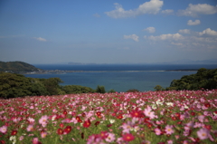 5D3_2928s