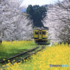 ISUMI RAIL