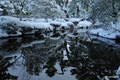 曲水