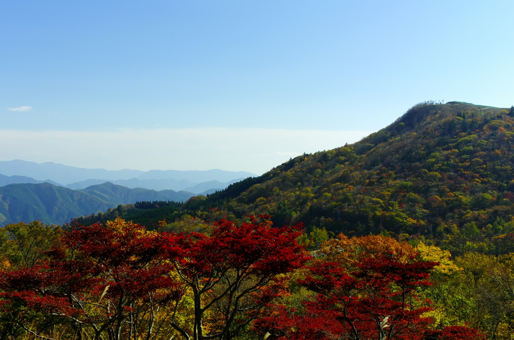 茶臼山展望３
