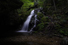 大倉百滝 -昇竜の滝- 2012.5.12