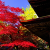 定光寺(2012.11.18)