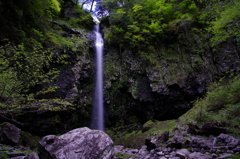 阿弥陀ヶ滝(2012.5.12)