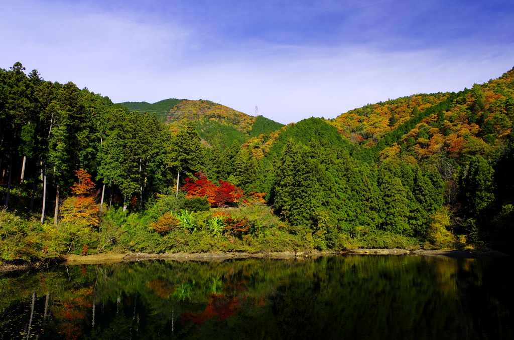 緑ヶ池