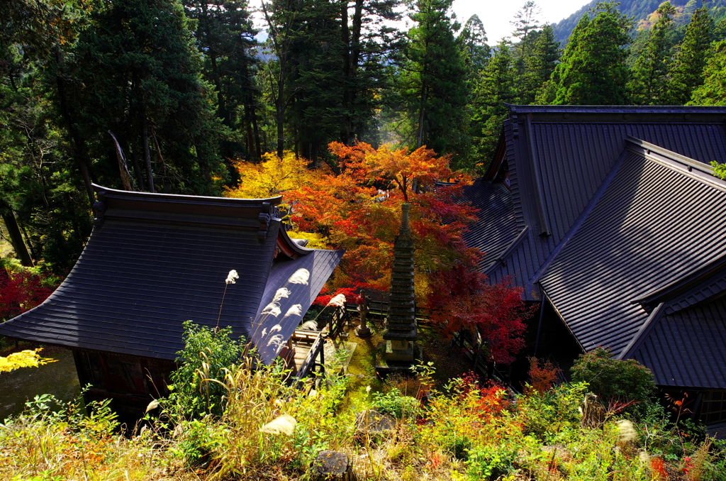 華厳寺(2012.11.24)