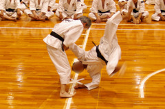 IMGP0072-002