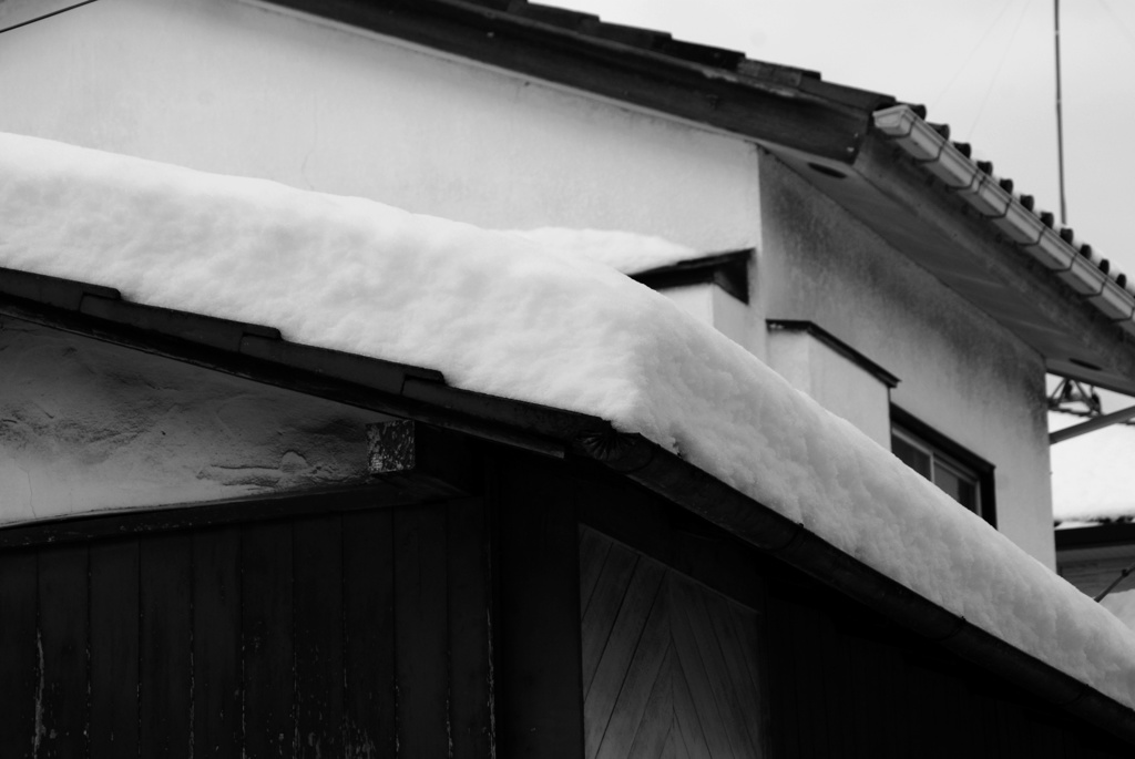 雪風景