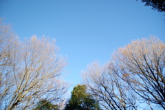 テスト