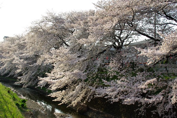 IMGP0017