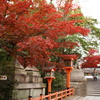 八坂神社にて