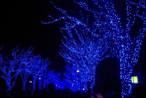 青の洞窟　渋谷