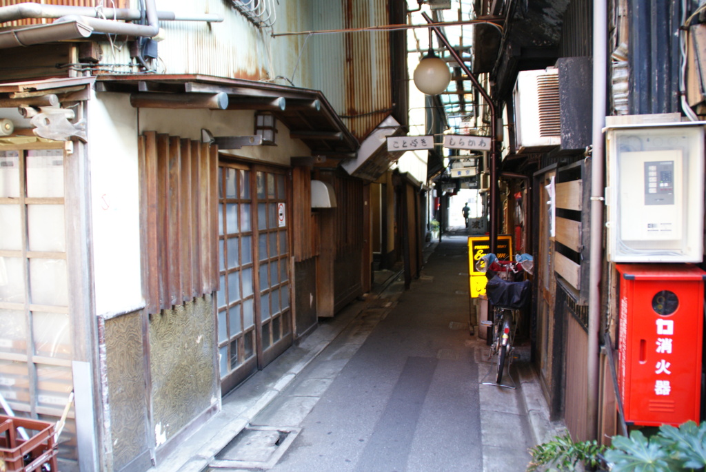 DSC08214