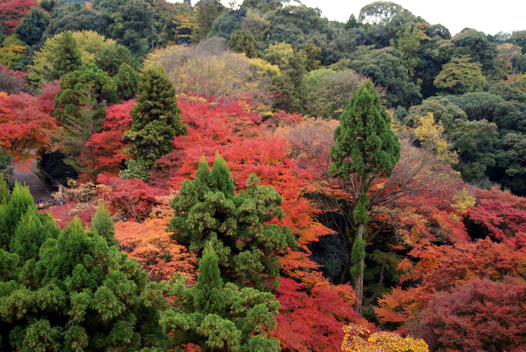 清水寺