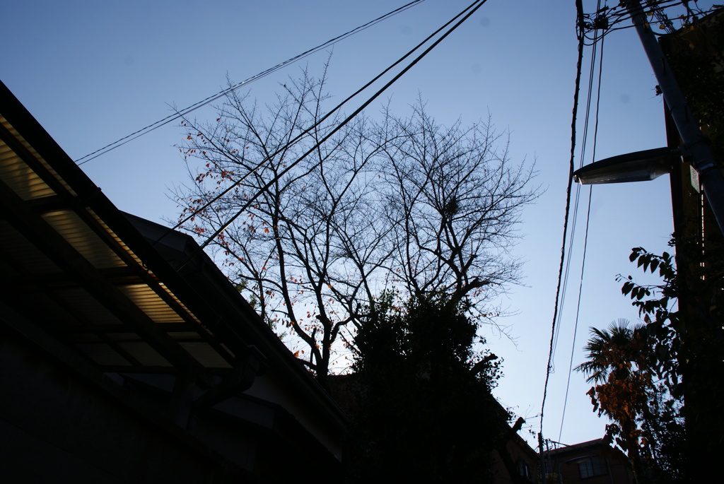 大塚