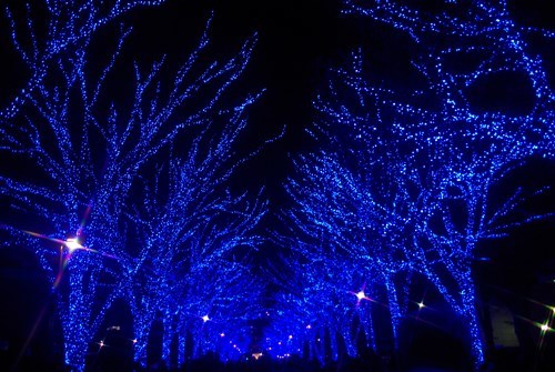 青の洞窟　渋谷