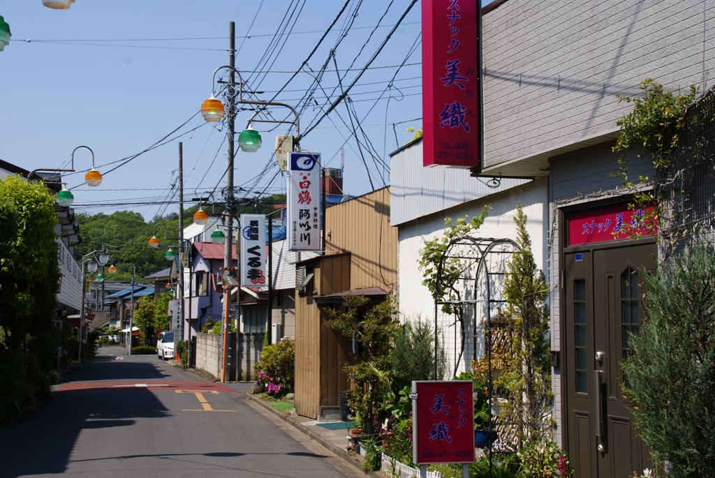 DSC09050