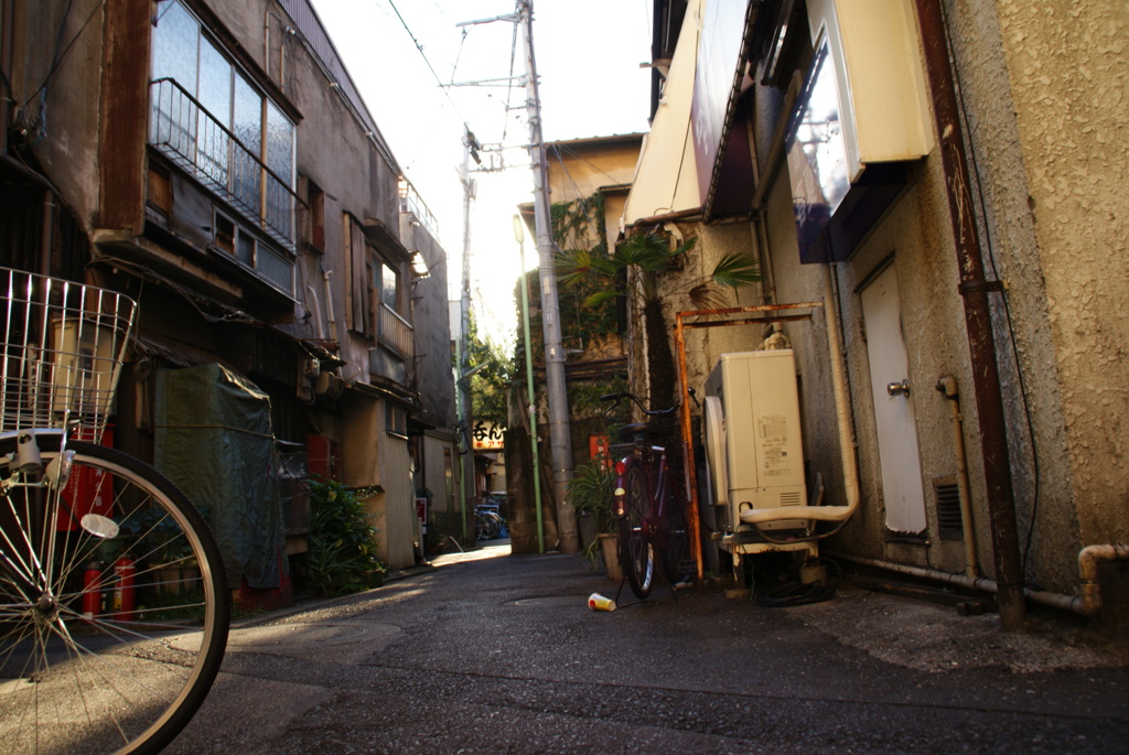 DSC08216