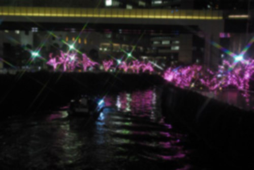 目黒川の冬の夜桜