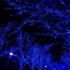 青の洞窟　渋谷