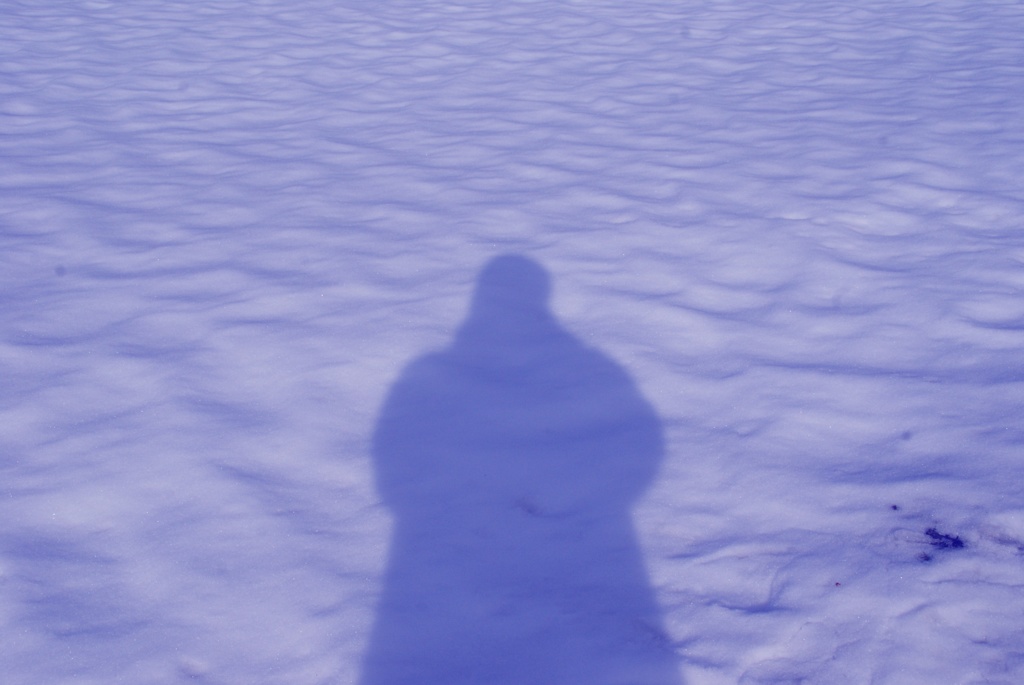 雪原に我あり