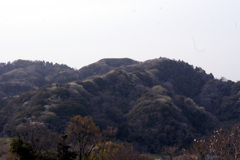 hayama