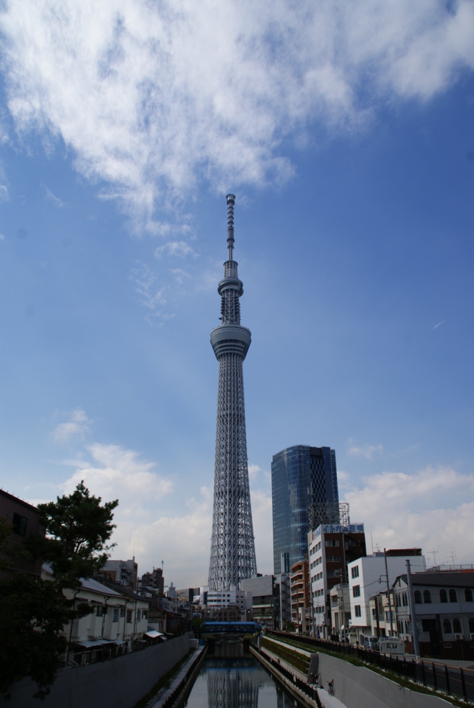 巨塔