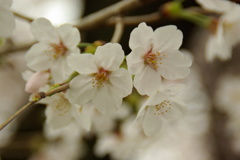 IMGP0032
