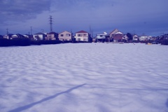 近所の雪原
