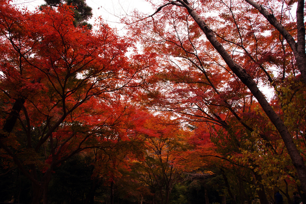 清水寺