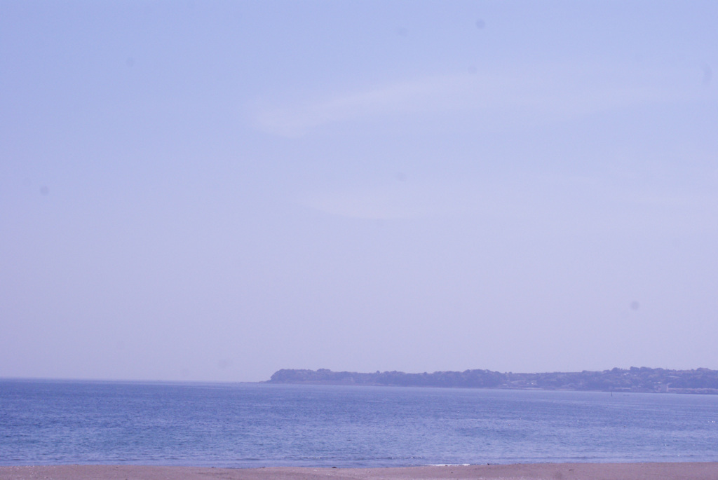 春の三浦海岸