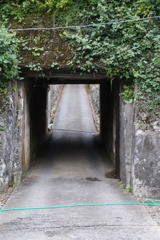 秩父街道吾野宿