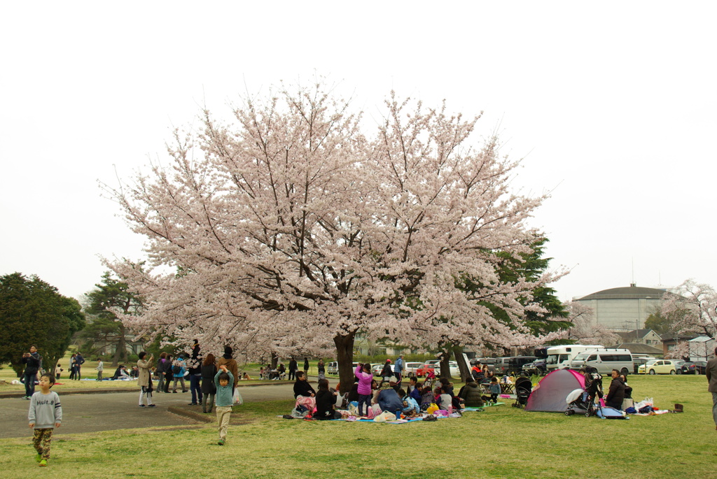 IMGP0040