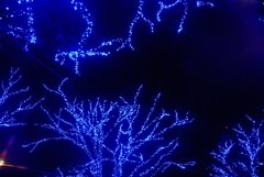 青の洞窟　渋谷