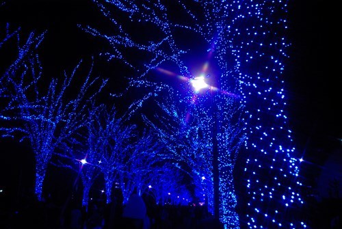 青の洞窟　渋谷
