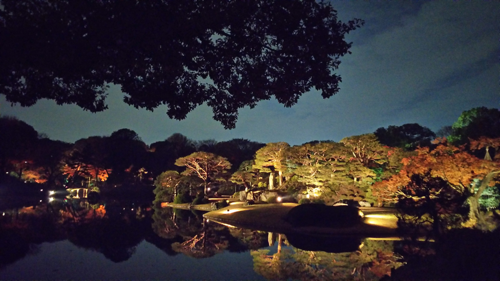 幻想夢想