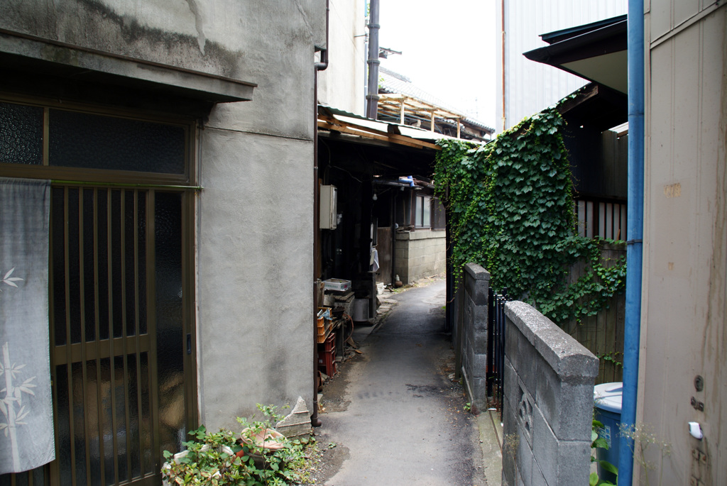 DSC09218
