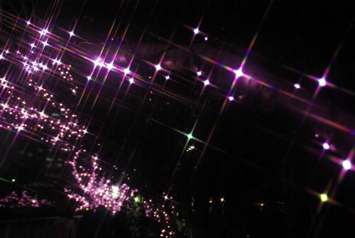目黒川の冬の夜桜