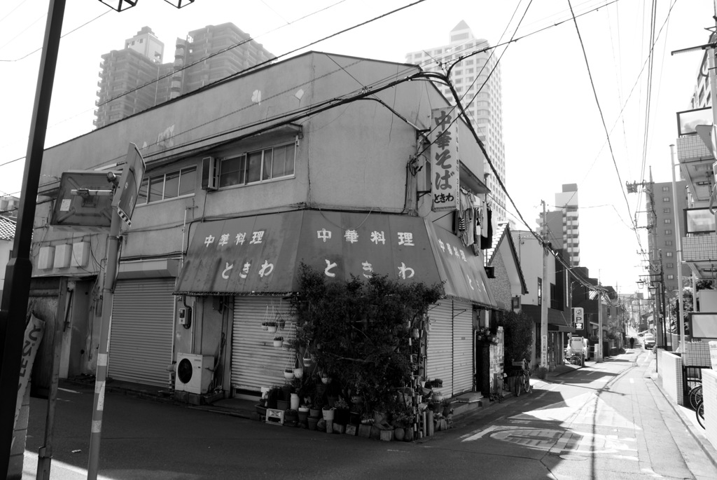 DSC08819