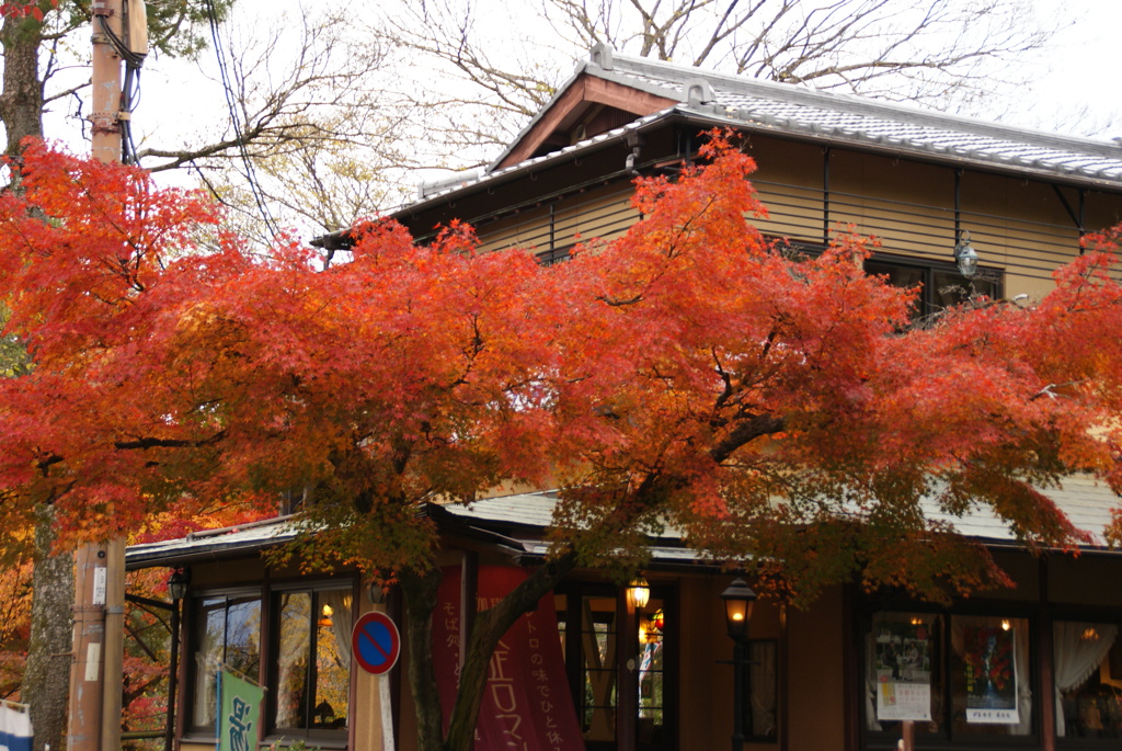 八坂神社にて