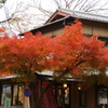 八坂神社にて