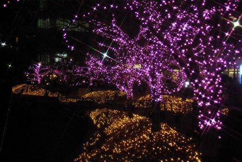 目黒川の冬の夜桜