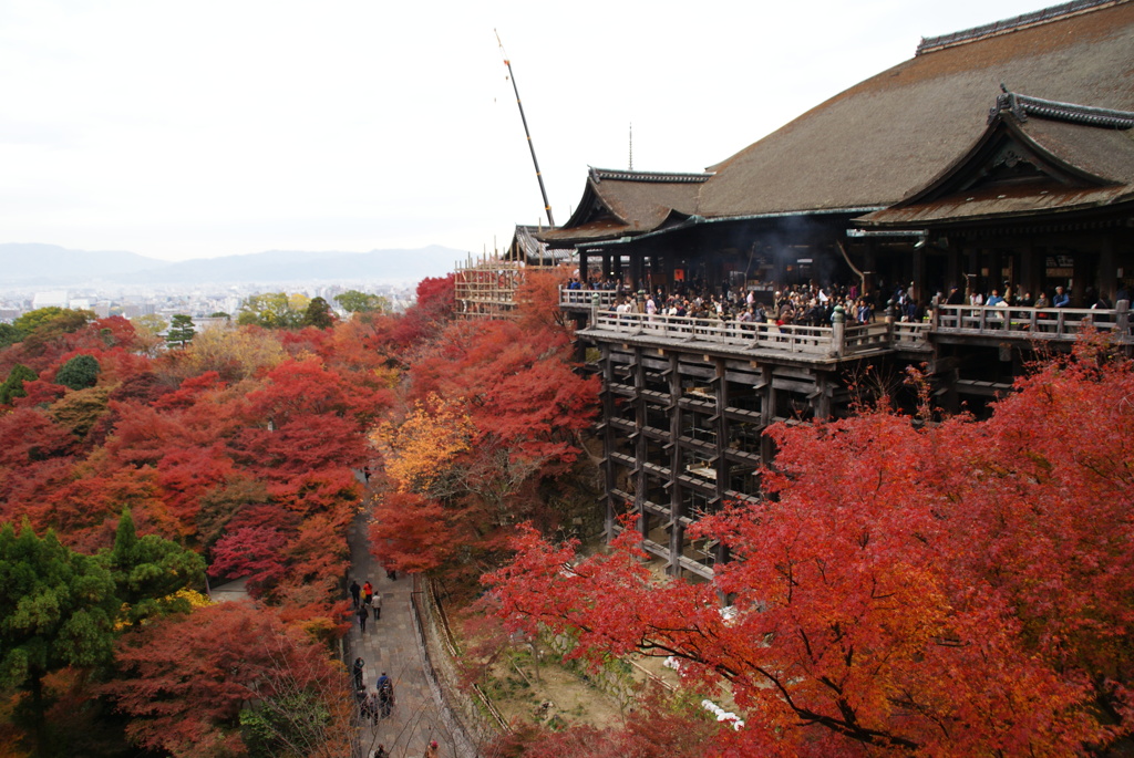 京都　清水寺