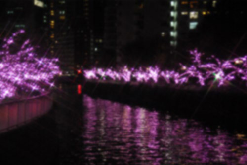 目黒川の冬の夜桜